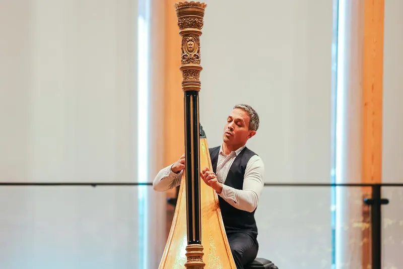 Emmanuel Ceysson at the concert harp at 1 Windmill Lane, the audience in front